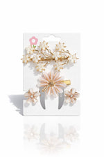 𝐇𝐚𝐢𝐫 𝐂𝐥𝐢𝐩 𝐒𝐞𝐭 – 𝟏 𝐏𝐢𝐞𝐜𝐞